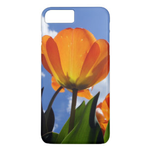 Orange Tulip, Blue Sky Case-Mate iPhone Hülle