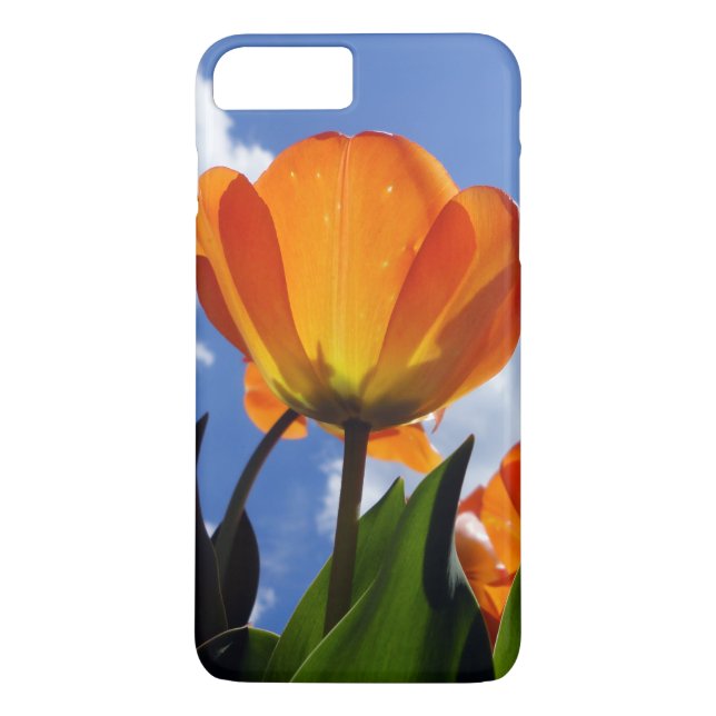Orange Tulip, Blue Sky Case-Mate iPhone Hülle (Rückseite)