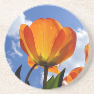 Orange Tulip, Blue Sky Getränkeuntersetzer