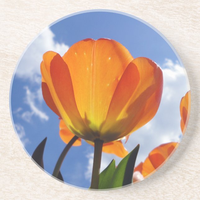 Orange Tulip, Blue Sky Getränkeuntersetzer (Vorne)