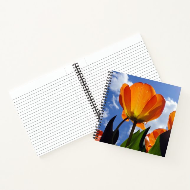 Orange Tulip, Blue Sky Notizbuch (Innenseite)