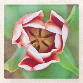Orange Tulip Blume Art Glass Untersetzer
