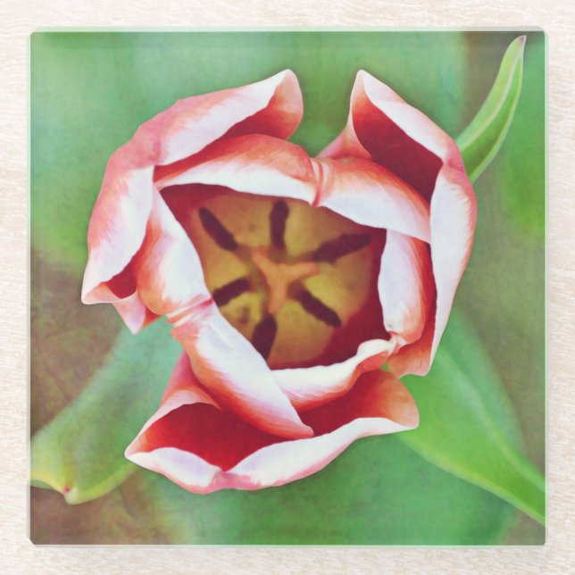 Orange Tulip Blume Art Glass Untersetzer (Vorderseite)