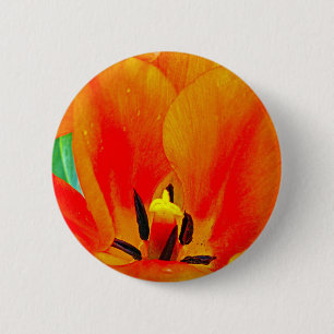 Orange Tulip Button