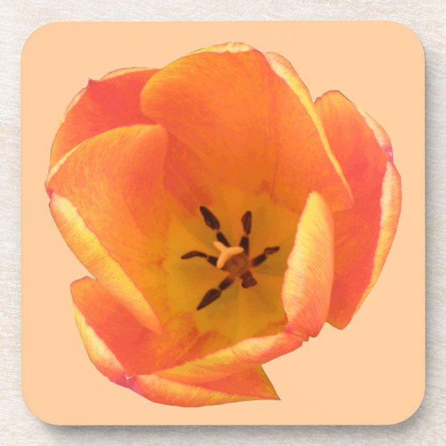 Orange Tulip Cork Untersetzer (Vorderseite)