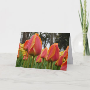 Orange Tulip Fine Art Fotografie gefaltete Notizka Dankeskarte