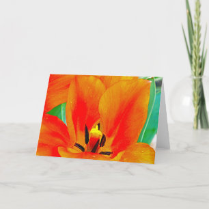 Orange Tulip Karte