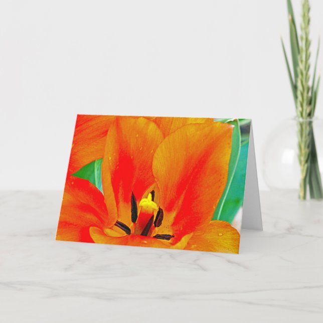 Orange Tulip Karte (Vorderseite)