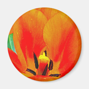Orange Tulip Magnet