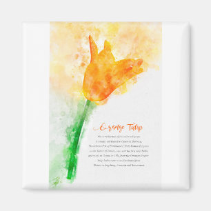 Orange Tulip Magnet