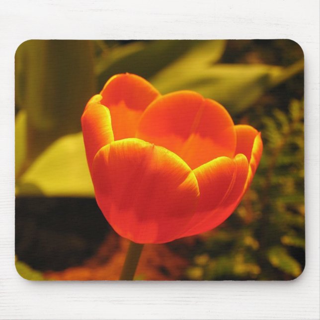 Orange Tulip Mouse Pad Mousepad (Vorne)