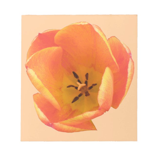 Orange Tulip Notepad Notizblock (Vorderseite)
