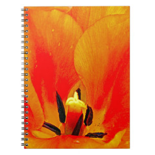 Orange Tulip Notizblock