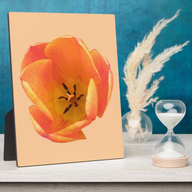 Orange Tulip Plaque Fotoplatte (Seite)