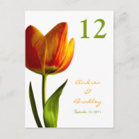 Orange Tulip Tischnummer Card