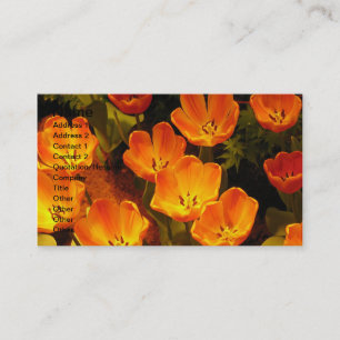 Orange Tulips Business Card Visitenkarte