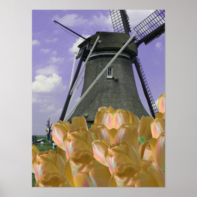 Orange Tulips Mill Holland Poster Art (Vorne)