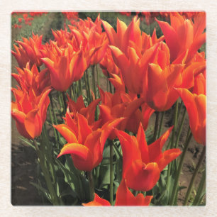 Orange Tulips, Oregon Glasuntersetzer
