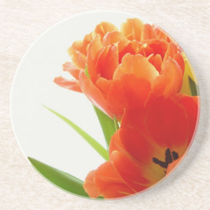 Orange Tulips Sandstone Untersetzer