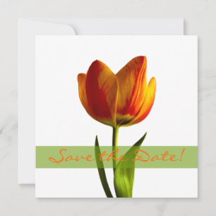 Orange Tulpen Hochzeit - Eile ist geboten Ankündig Save The Date