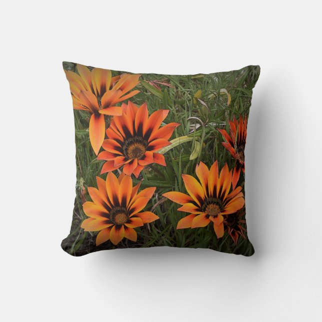 Orange und Black Gazanias Throw Kissen (Vorderseite)