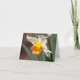 Orange und cremefarbene Tulpe Dankeskarte