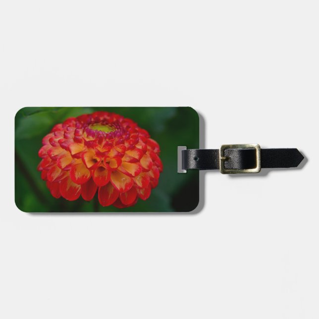 Orange und Gelb-Dahlia Gepäckanhänger (Vorderseite horizontal)