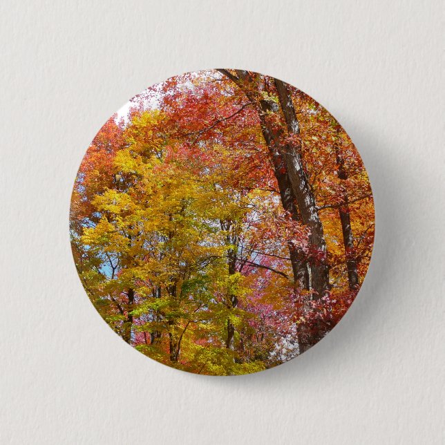 Orange- und Gelbfallbäume Herbstfotografie Button (Vorderseite)
