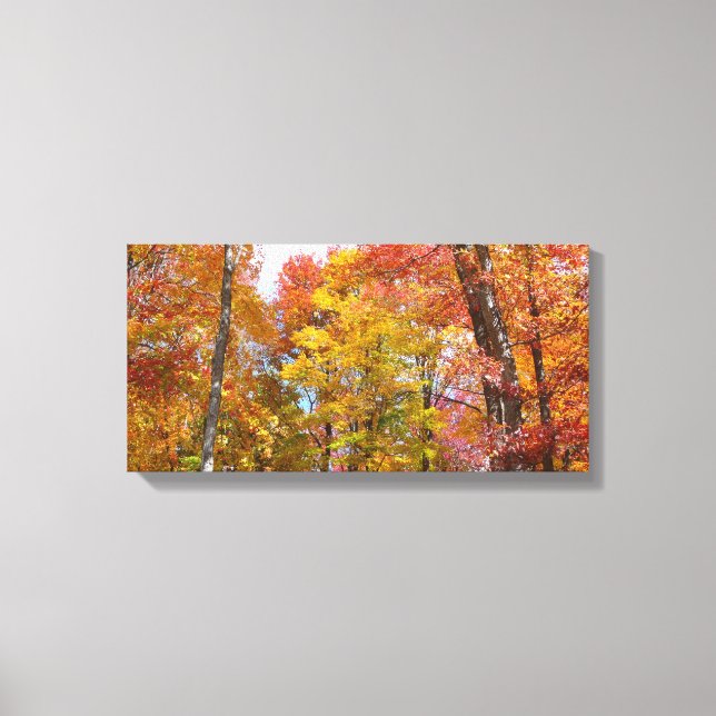 Orange- und Gelbfallbäume Herbstfotografie Leinwanddruck (Vorderseite)