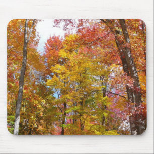 Orange- und Gelbfallbäume Herbstfotografie Mousepad