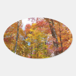 Orange- und Gelbfallbäume Herbstfotografie Ovaler Aufkleber