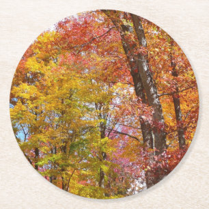 Orange- und Gelbfallbäume Herbstfotografie Runder Pappuntersetzer