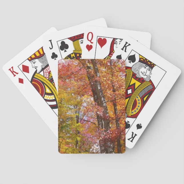 Orange- und Gelbfallbäume Herbstfotografie Spielkarten (Rückseite)