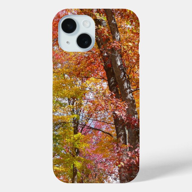 Orange- und Gelbfallbäume Herbstfotografie title_seo2 (Rückseite)