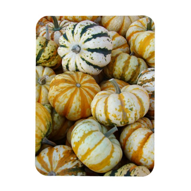 Orange und grüne Herbstgürtel Magnet (Vertikal)