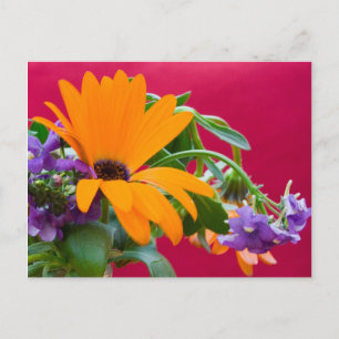 Orange und Lila Blume Thema Postkarte