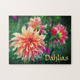 Orange und Pink Dahlia Blume