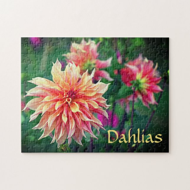 Orange und Pink Dahlia Blume (Horizontal)