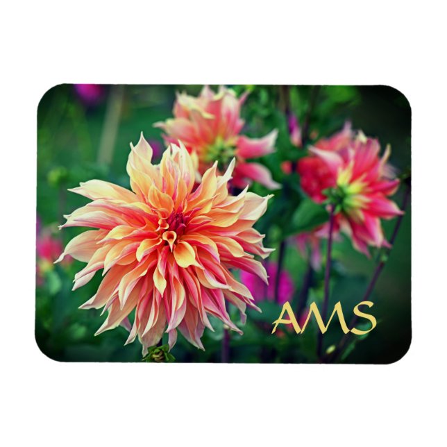 Orange und Pink Dahlia Blume Initials Magnet (Horizontal)