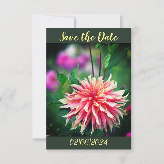 Orange und Pink Dahlia Blume Save the Date (Vorderseite)