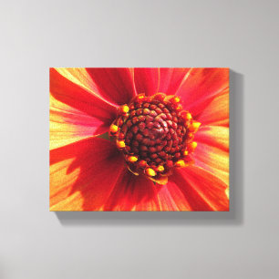 Orange und Red Dahlia Leinwanddruck