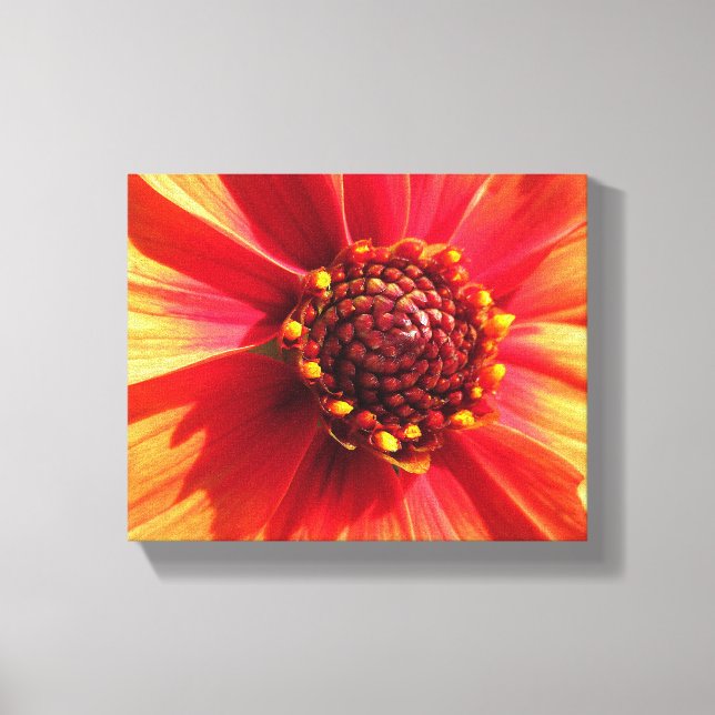 Orange und Red Dahlia Leinwanddruck (Vorderseite)