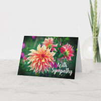 Orange und rosa Dahlia Blume mit Beileid