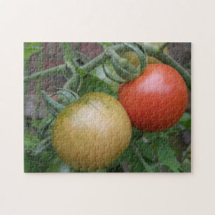 Orange und Rote Tomaten Puzzle