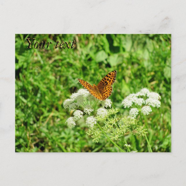 Orange und Schwarze Butterfly mit Ihrem Text Postkarte (Vorderseite)