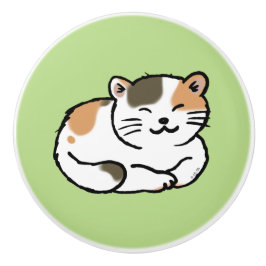 orange und schwarze Katze des niedlichen flaumigen Keramikknauf