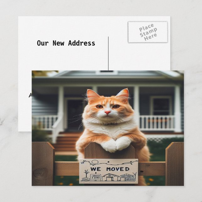 Orange und weiße Katze, die wir bewegt haben Ankündigungspostkarte (Vorne/Hinten)