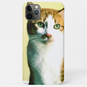 Orange und weiße Katze, hellgelb Case-Mate iPhone Hülle