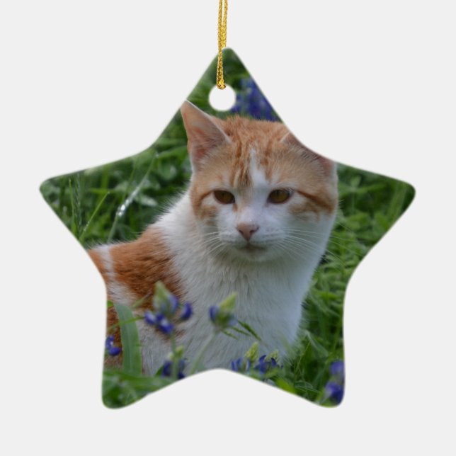 Orange und weißer Tabby Keramikornament (Vorne)