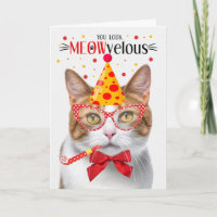 Orange und White Tabby Cat MEOWvelous Birthday